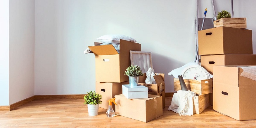 Beyond Stress: The Art of Coordinated and Calm Relocation