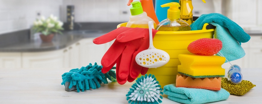 Breathing Easy: The Cleaning Arsenal Against Allergens