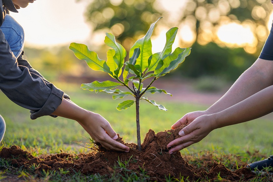 Planting Hope